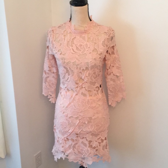 Lioness Dresses & Skirts - Lioness light pink small dress